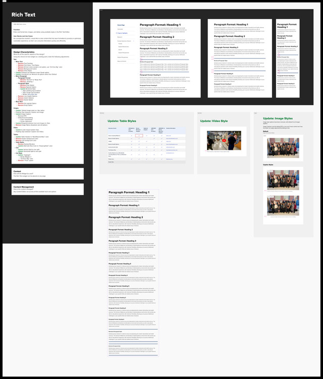 Rich text, new for program pages: design system documentation